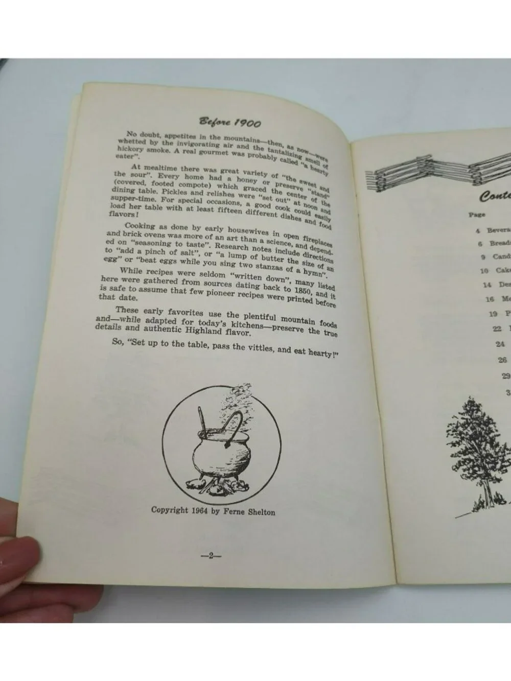 Vtg Southern Appalachian Mountain Cookbook Recipes From Blue Ridge & Smoky Mtns